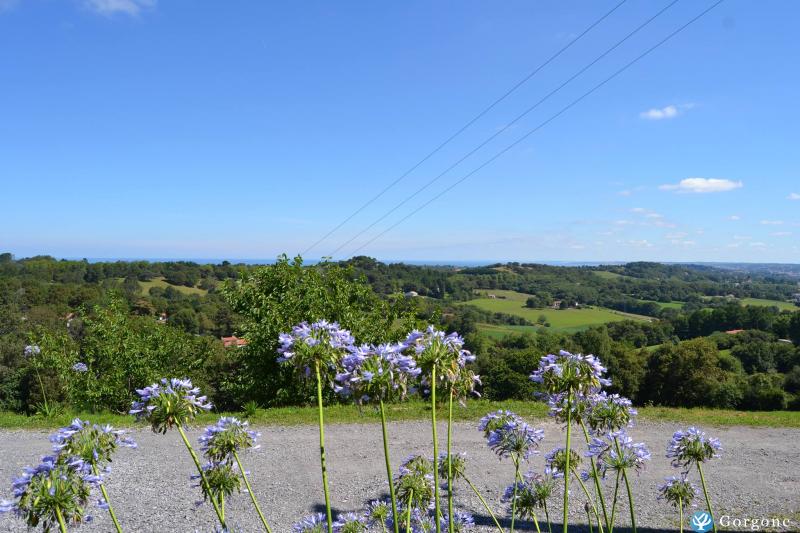 Photo n°10 de :F4 de charme 4* ds labourdine basque du XVII  4 kms des plages entre St jean de luz et Hendaye
